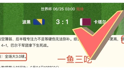 浙江体彩网